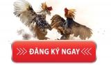 Hướng dẫn đăng ký Sv388 nhanh nhất trên điện thoại di động