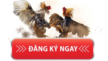 Hướng dẫn đăng ký Sv388 nhanh nhất trên điện thoại di động